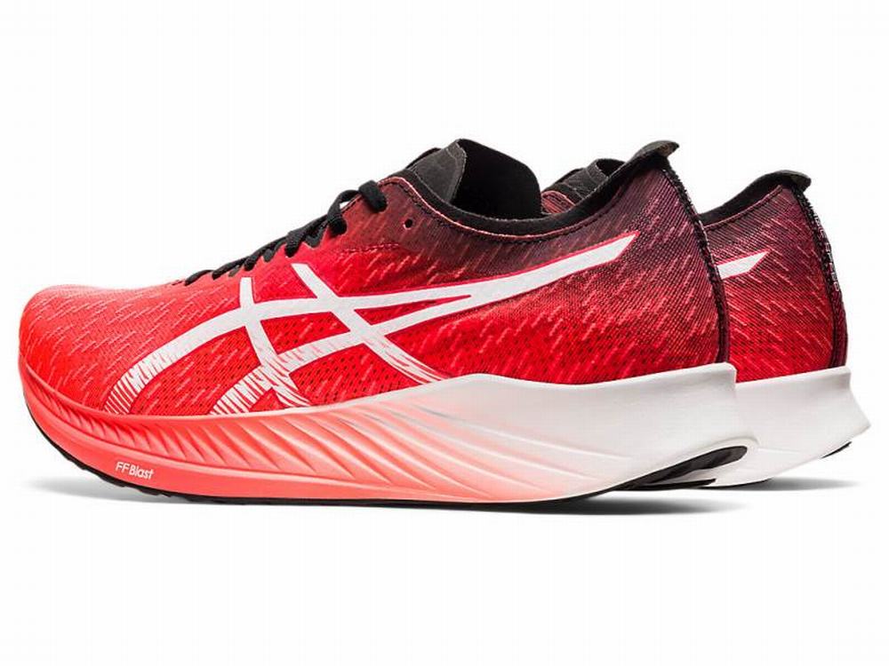 Asics MAGIC SPEED Men's Running Shoes Orange / Red / White | HLA279061