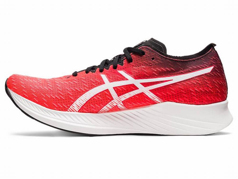 Asics MAGIC SPEED Men's Running Shoes Orange / Red / White | HLA279061