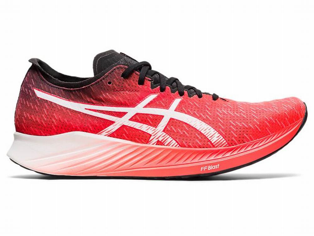 Asics MAGIC SPEED Men\'s Running Shoes Orange / Red / White | HLA279061