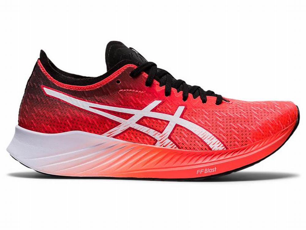 Asics MAGIC SPEED Women's Running Shoes Orange / Red / White | MTF147568