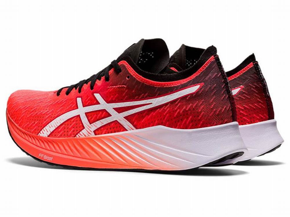 Asics MAGIC SPEED Women's Running Shoes Orange / Red / White | MTF147568