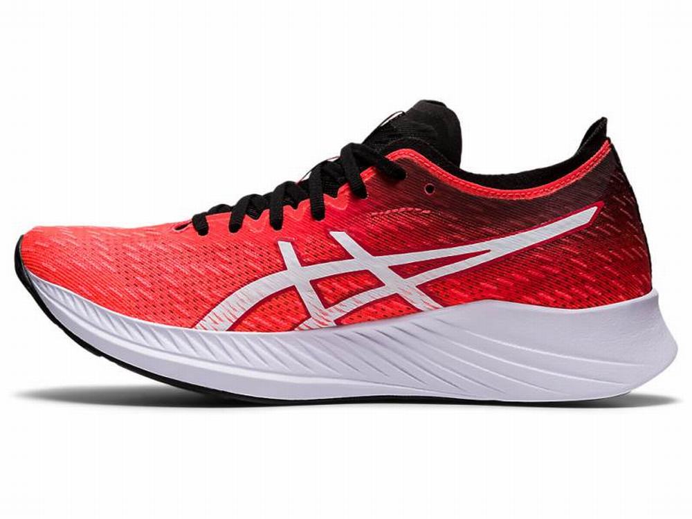 Asics MAGIC SPEED Women's Running Shoes Orange / Red / White | MTF147568