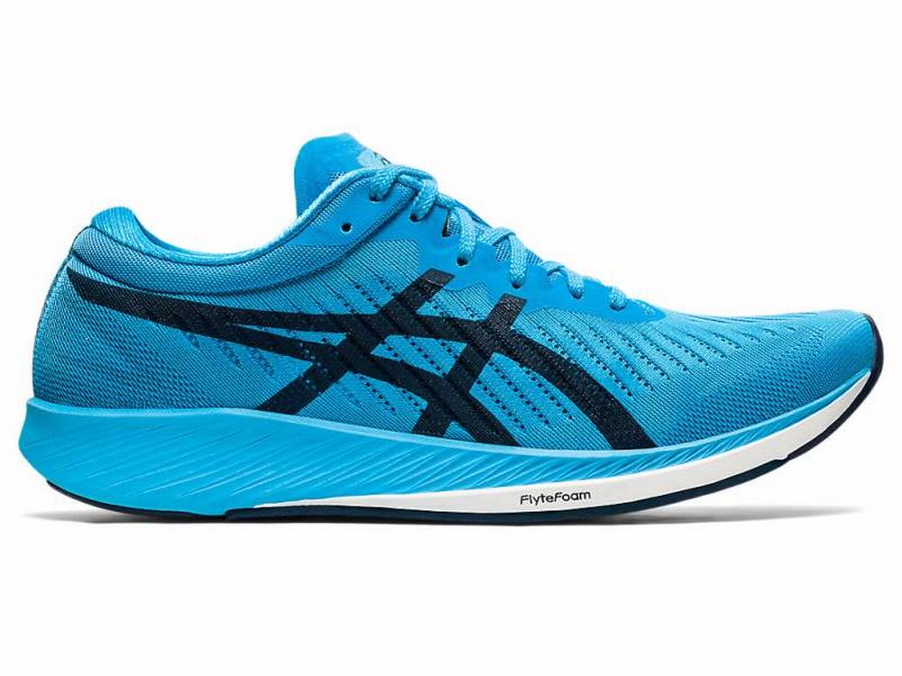 Asics METARACER Men's Running Shoes Light Turquoise / Blue | EYT478309