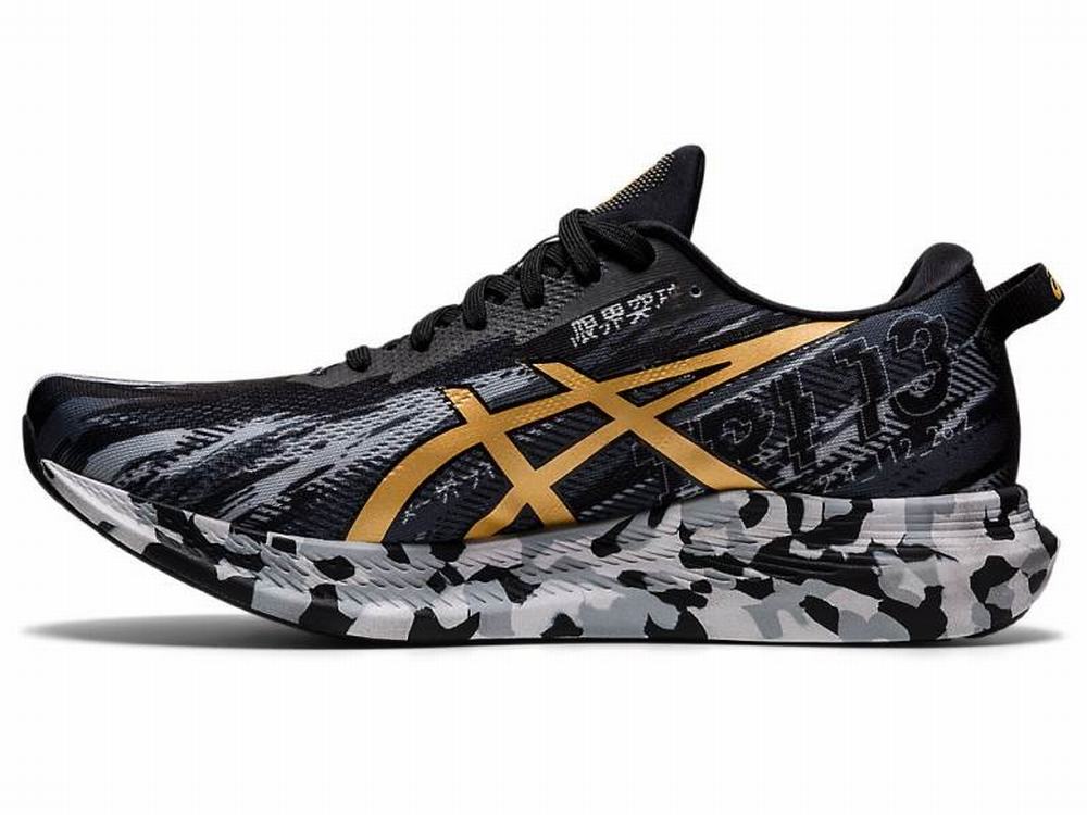 Asics NOOSA TRI 13 Men's Running Shoes Black / Gold | BTA491786