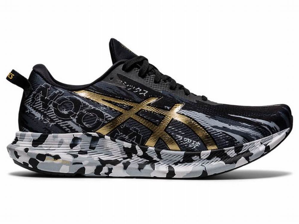 Asics NOOSA TRI 13 Men\'s Running Shoes Black / Gold | BTA491786