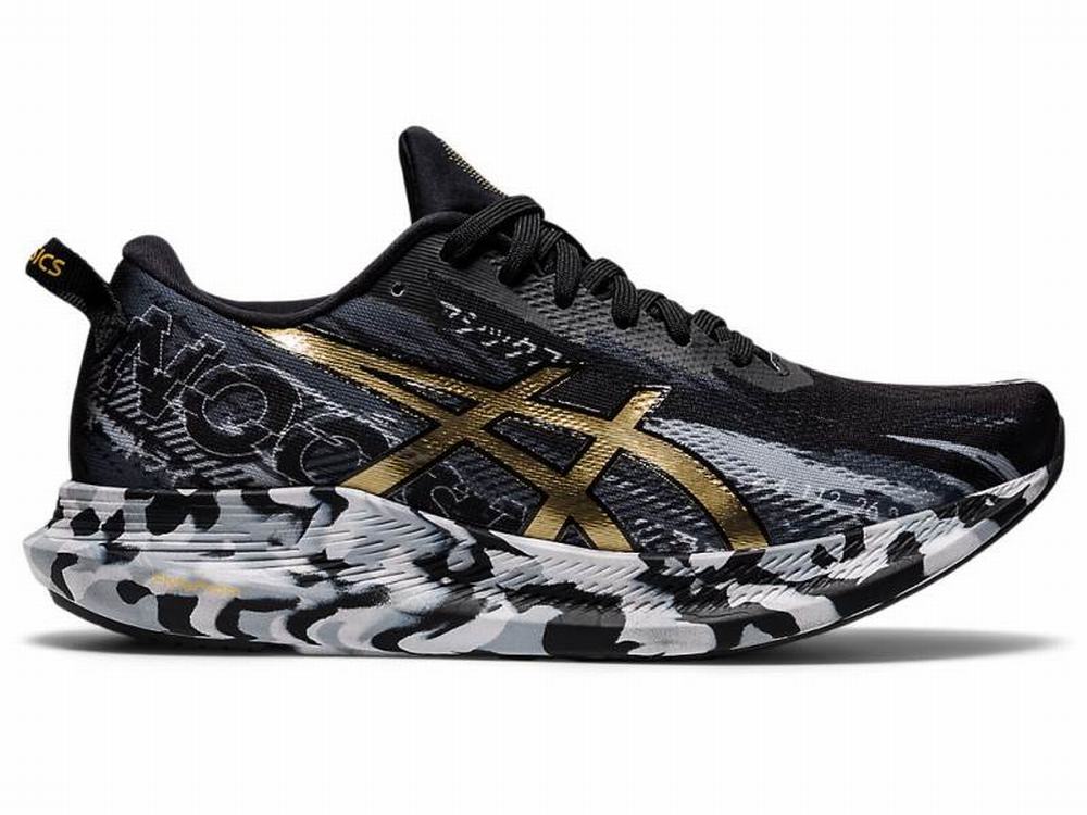 Asics NOOSA TRI 13 Women's Running Shoes Black / Gold | DSL975063