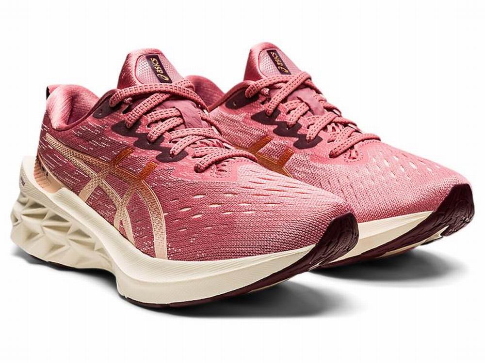 Asics NOVABLAST 2 Women's Running Shoes Rose | EMP523714