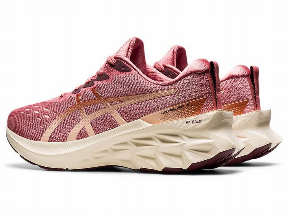 Asics NOVABLAST 2 Women's Running Shoes Rose | EMP523714