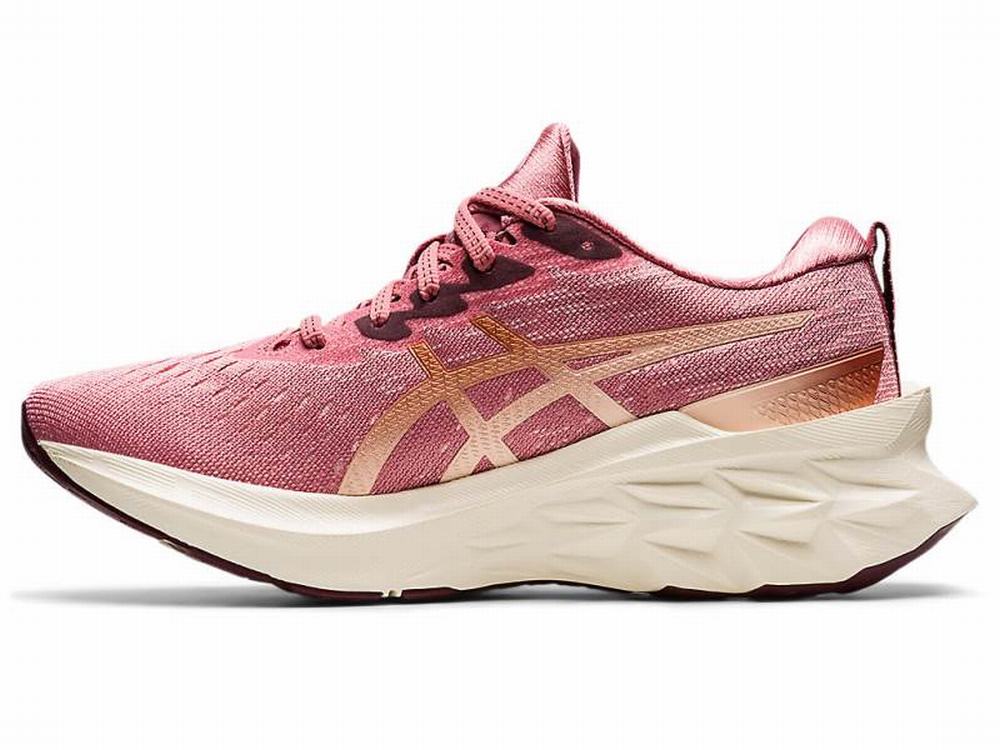 Asics NOVABLAST 2 Women's Running Shoes Rose | EMP523714