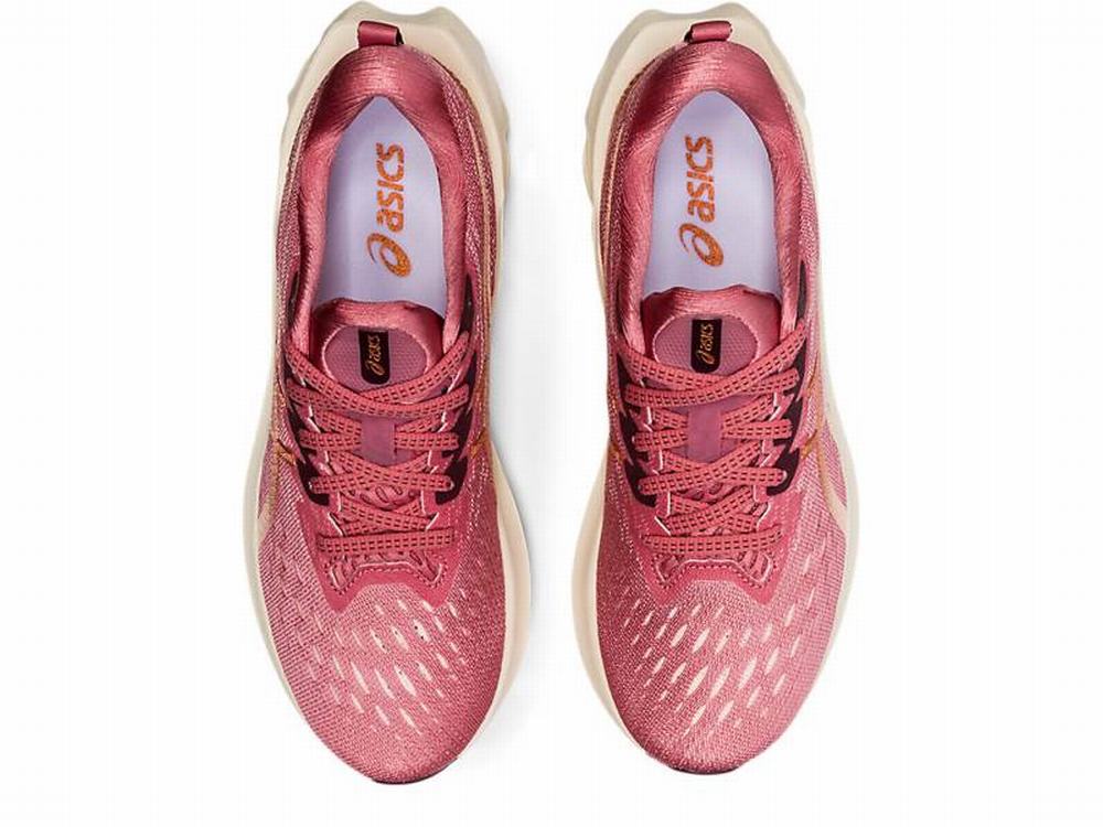 Asics NOVABLAST 2 Women's Running Shoes Rose | EMP523714