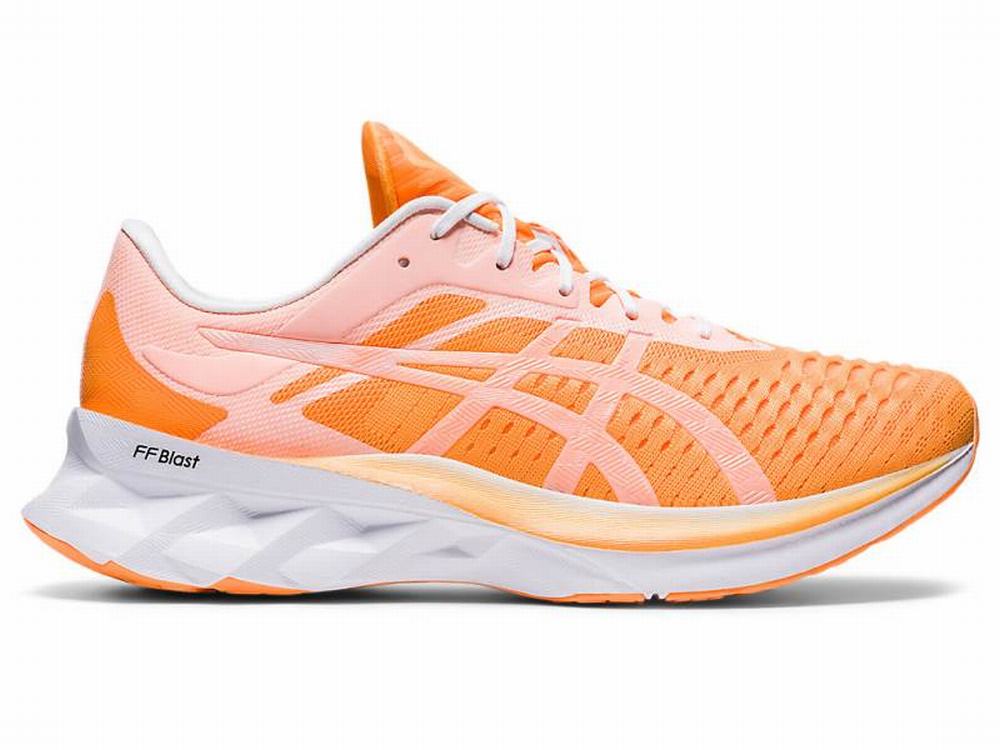 Asics NOVABLAST Men's Running Shoes Orange / White | CRK095621