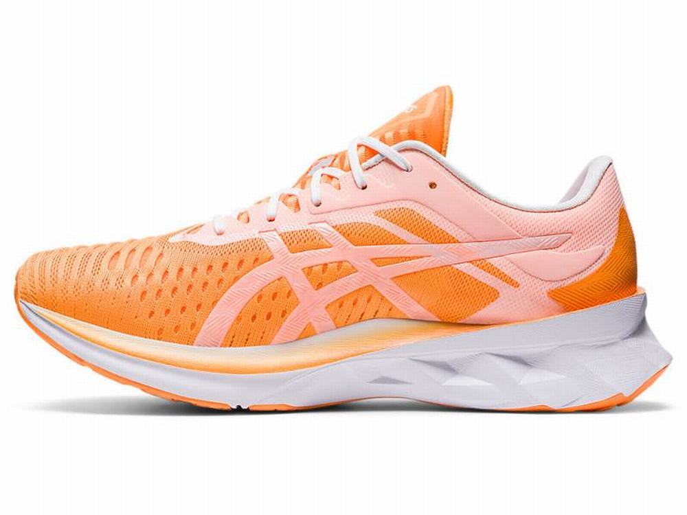 Asics NOVABLAST Men's Running Shoes Orange / White | CRK095621