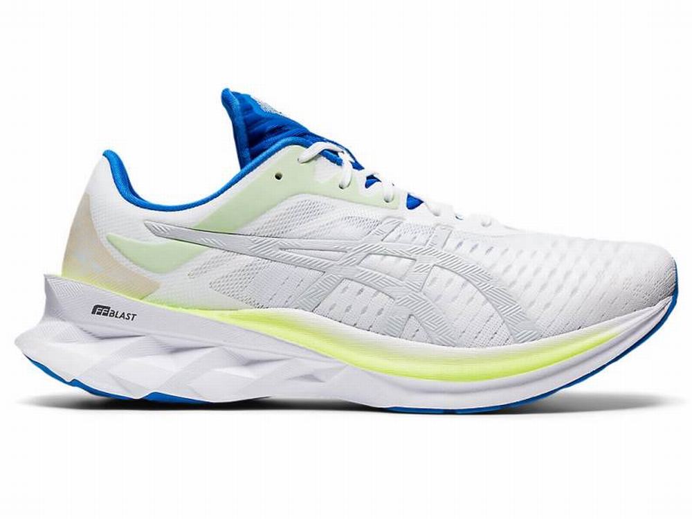 Asics NOVABLAST Men's Running Shoes White / Grey | SOE857690