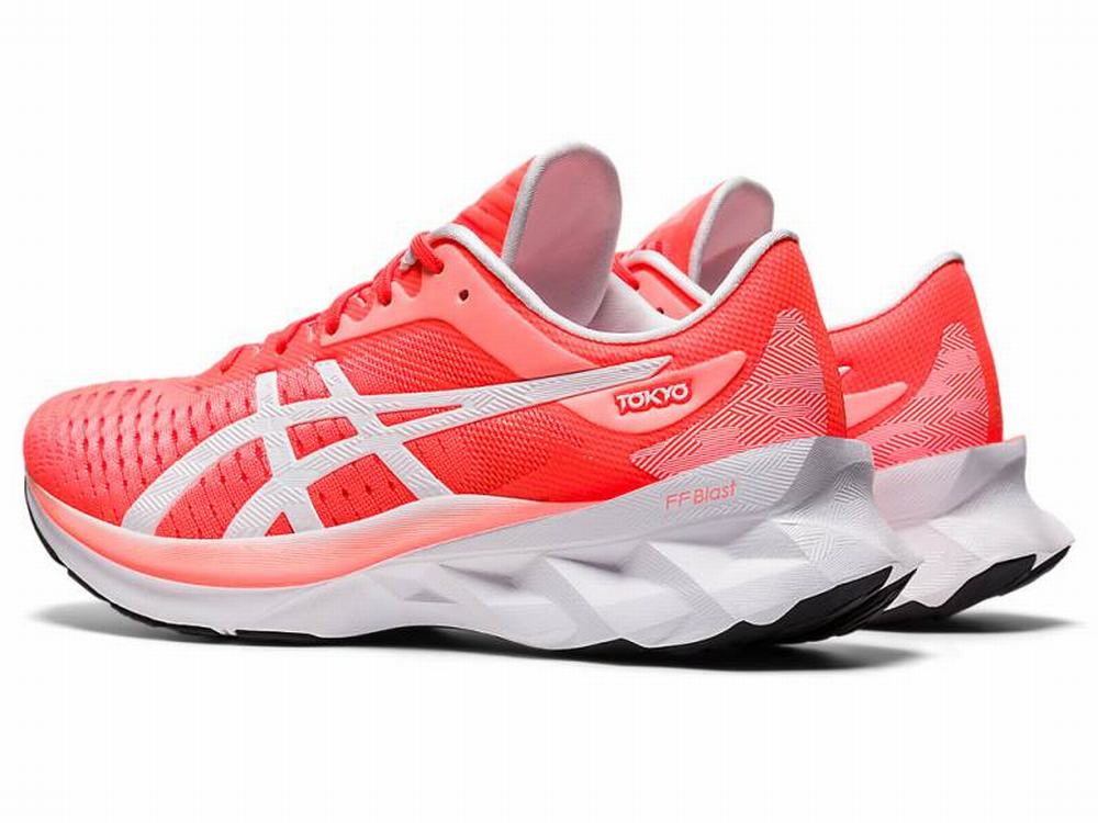 Asics NOVABLAST Women's Running Shoes Orange / Black / Red | AGC487910