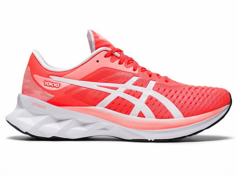 Asics NOVABLAST Women\'s Running Shoes Orange / Black / Red | AGC487910