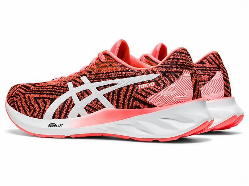 Asics ROADBLAST TOKYO Women's Running Shoes Orange / Red / White | RHO406713