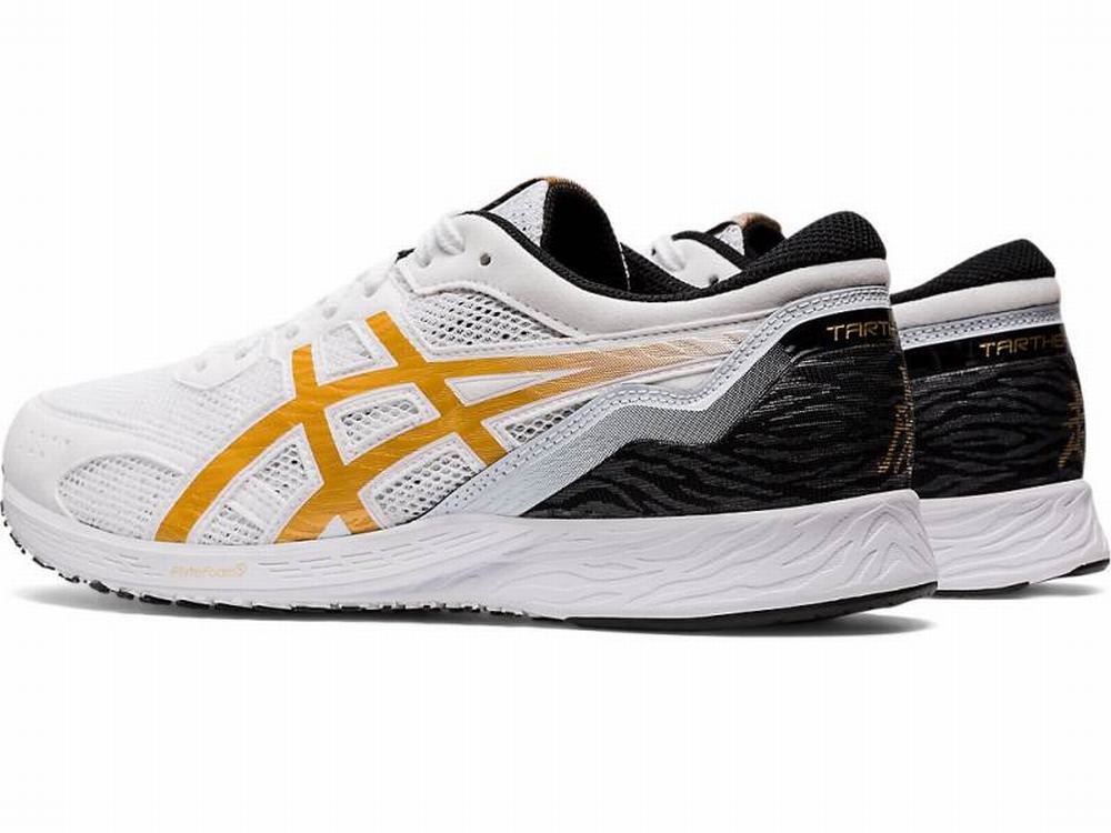 Asics TARTHEREDGE Men's Running Shoes White / Gold | KXE913265