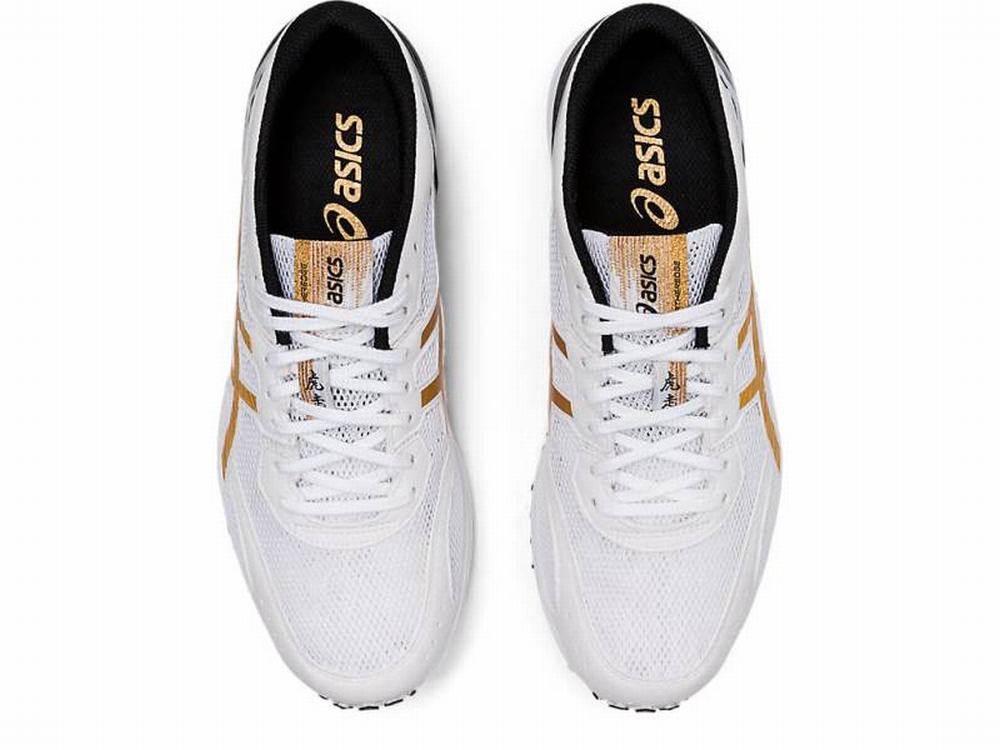 Asics TARTHEREDGE Men's Running Shoes White / Gold | KXE913265